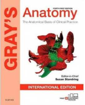 Gray’s Anatomy (Original international edition)